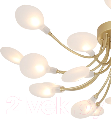 Люстра F-Promo 4197-20C