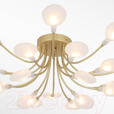 Люстра F-Promo 4197-20C