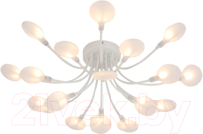 Люстра F-Promo 4198-20C