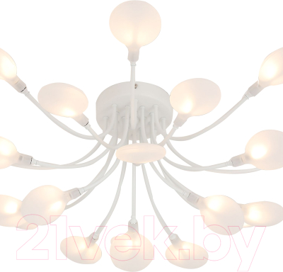 Люстра F-Promo 4198-20C