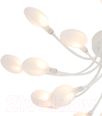 Люстра F-Promo 4198-20C