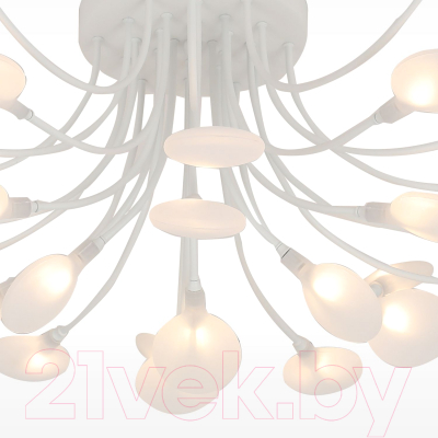 Люстра F-Promo 4198-28C