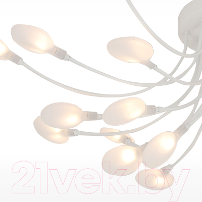 Люстра F-Promo 4198-28C