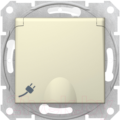 Розетка Schneider Electric Sedna SDN3100347 - фото