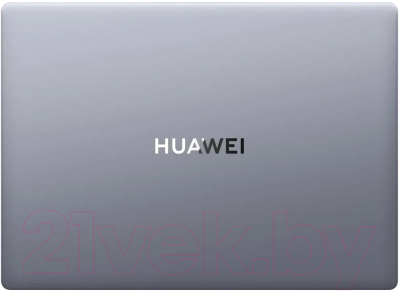 Ноутбук Huawei MateBook D 14 MDF-X (53013XET)