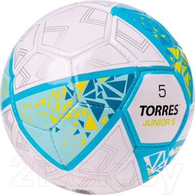 Футбольный мяч Torres Junior-5 / F323805