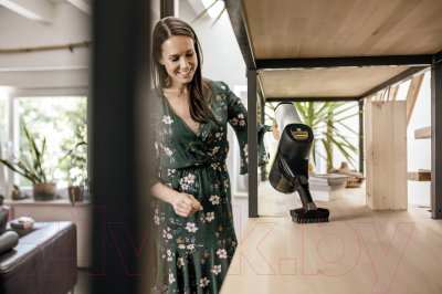 Вертикальный пылесос Karcher VC 6 Cordless OurFamily