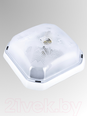 Светильник ЖКХ Aitin-Pro BR-00242-010 - фото