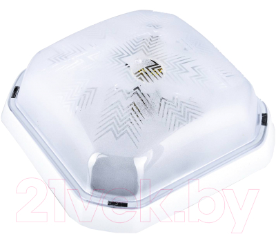 Светильник ЖКХ Aitin-Pro BR-00242-010