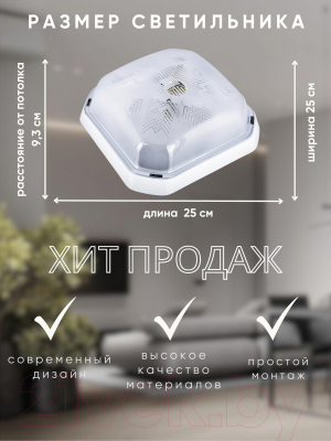 Светильник ЖКХ Aitin-Pro BR-00242-010