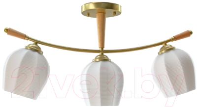 Люстра Aitin-Pro НПБ 02-3x60-101 / N5725/3