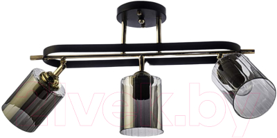 Люстра Aitin-Pro НПБ 02-3x60-101 / N5282/3 - фото