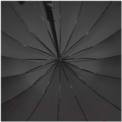 Зонт-трость Ame Yoke RS716