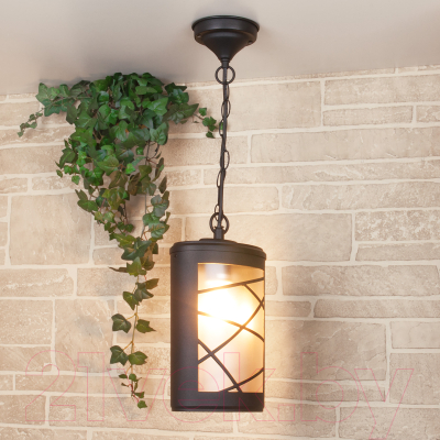 Светильник уличный Elektrostandard Premier H GL 1017H