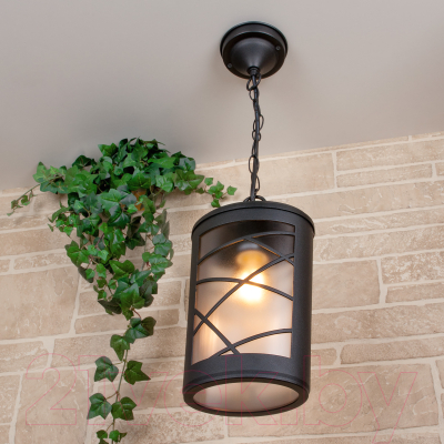 Светильник уличный Elektrostandard Premier H GL 1017H