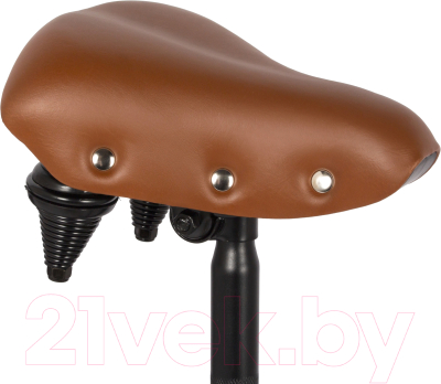 Велосипед Novatrack 20 Aurora 20FAURORA6S.BN4