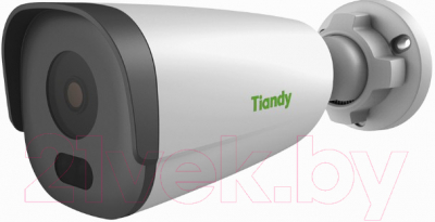 IP-камера Tiandy TC-C34GS I5/E/Y/C/SD/2.8mm//V4.2 - фото