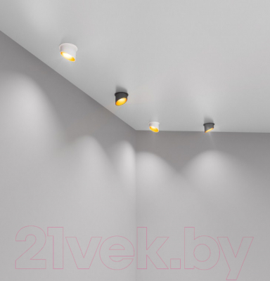 Точечный светильник Elektrostandard 7005 MR16 BK/GD