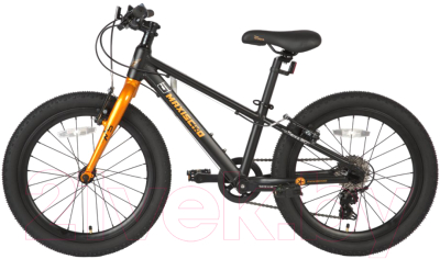 Детский велосипед Maxiscoo 5Bike 20 M 2024 / MSC-M5-2002