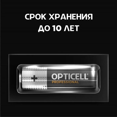 Комплект батареек Opticell Professional AA 5052003