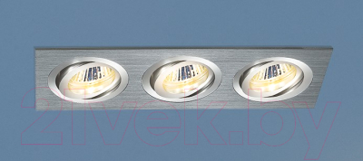 Точечный светильник Elektrostandard 1011/3 MR16 CH