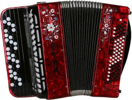 Баян Тульская гармонь Тула 46x80-II / BN-41-RD - фото