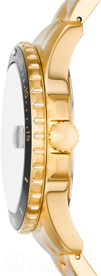 Часы наручные мужские Fossil FS6035