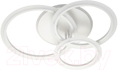 Потолочный светильник ESCADA Random 10231/3LED - фото