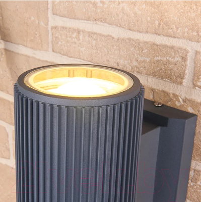 Бра уличное Elektrostandard 1403 Techno