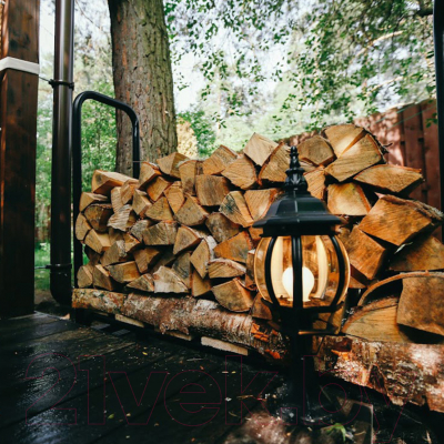 Светильник уличный Elektrostandard 9913-D GL 1001S