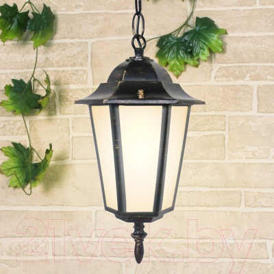 Светильник уличный Elektrostandard GL 1004H