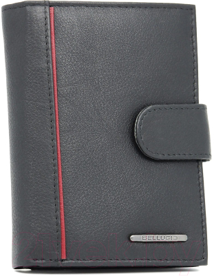 Портмоне Bellugio EM-96R-123A - фото