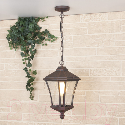 Светильник уличный Elektrostandard Virgo H GLXT-1450H - фото