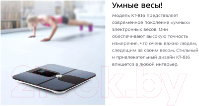 Напольные весы электронные Kitfort KT-816