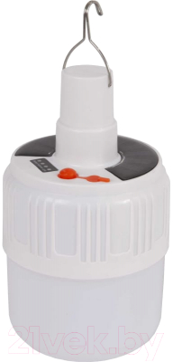 Фонарь Glanzen CFL-0200-V51