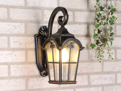 Бра уличное Elektrostandard Mira D - фото