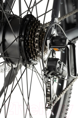 Электровелосипед Tribe Alpha V2 29, 240Вт, 10Ач