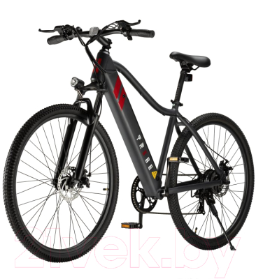 Электровелосипед Tribe Alpha V2 29, 240Вт, 10Ач