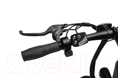 Электровелосипед Tribe Alpha V2 29, 240Вт, 10Ач