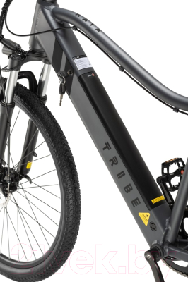 Электровелосипед Tribe Kaya 26, 240Вт, 10Ач