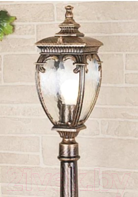 Фонарь уличный Elektrostandard Andromeda F GLYF-8024F