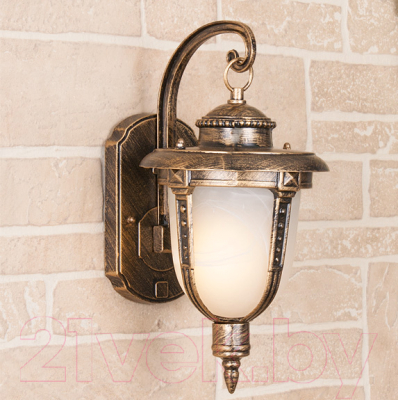 Бра уличное Elektrostandard Atlas D GLYF-2010D - фото