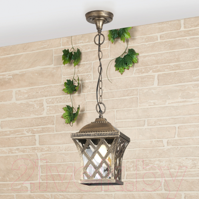 Светильник уличный Elektrostandard Cassiopeya H - фото