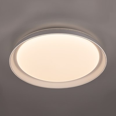 Потолочный светильник Citilux Mega CL752450G