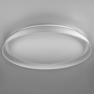 Потолочный светильник Citilux Mega CL752450G