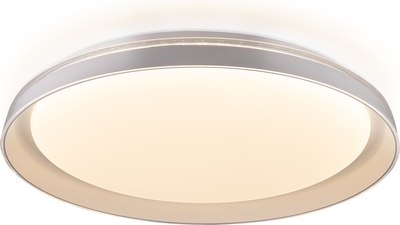 Потолочный светильник Citilux Mega CL752450G