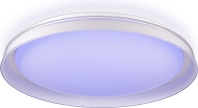 Потолочный светильник Citilux Mega CL752450G