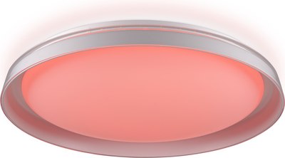 Потолочный светильник Citilux Mega CL752450G