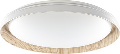 Потолочный светильник Citilux Mega CL752452G - фото