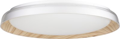 Потолочный светильник Citilux Mega CL752452G